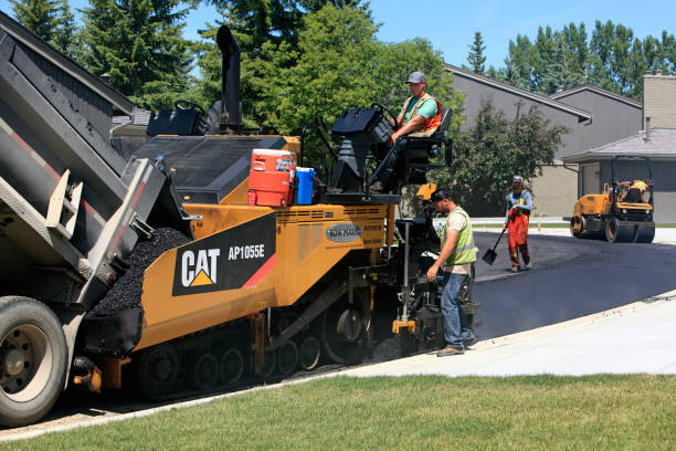 Trusted Sealy, TX Driveway Pavers Experts